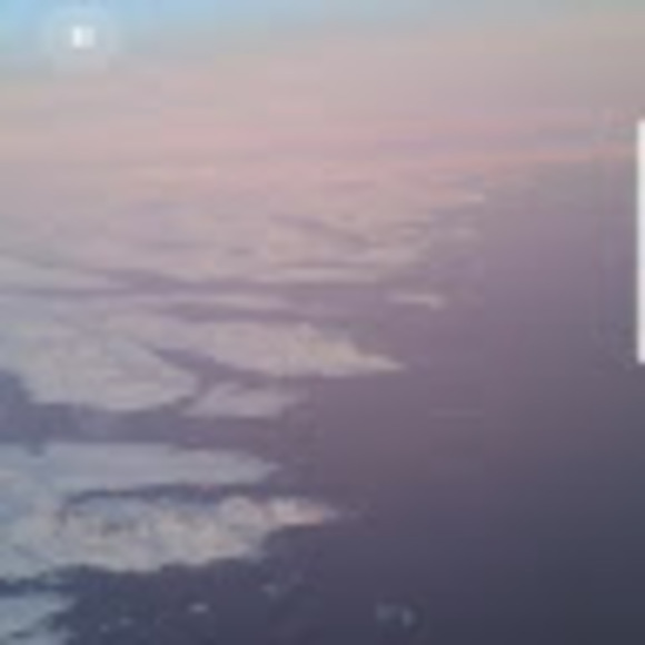 Meet your Posher, Daniel - Picture 1 of 1